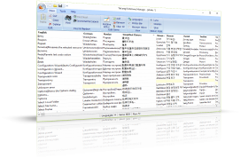 Dictionary Manager