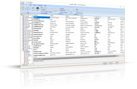 TsiLang Dateieditor